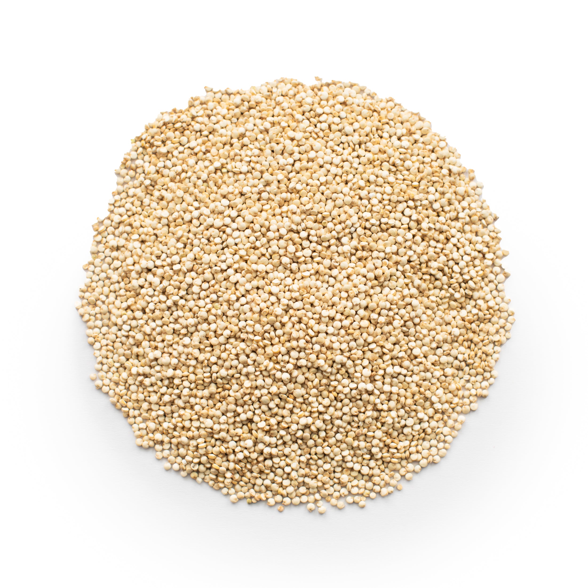 White Quinoa