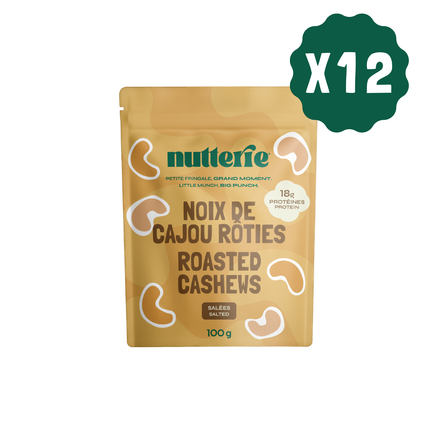 Roasted Salted Cashews (100g) - CASE of 12