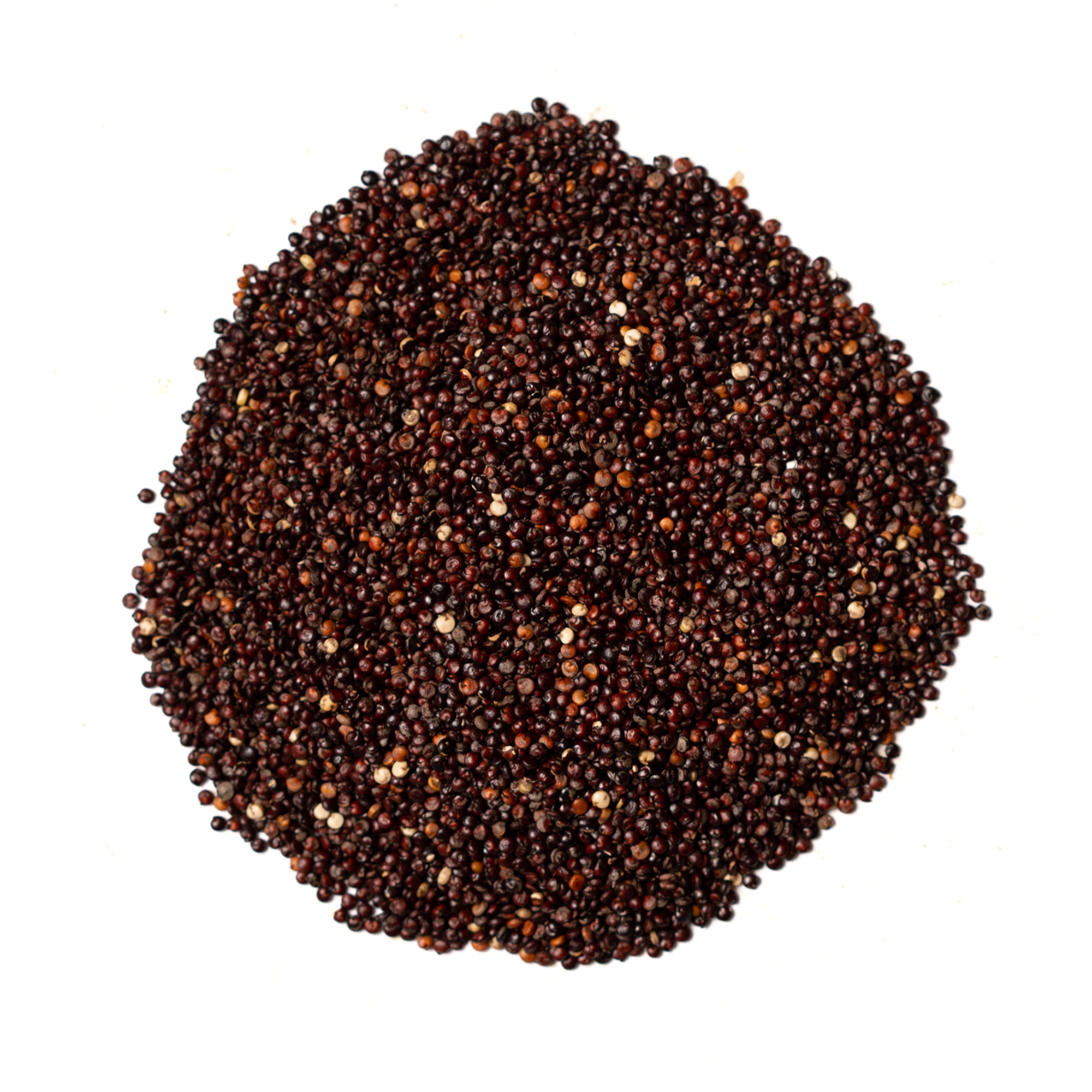 Quinoa noir biologique