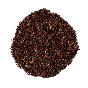 Organic black quinoa seeds