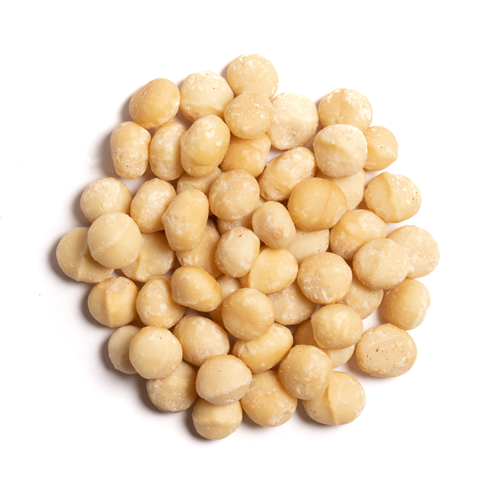 Raw Macadamia nuts