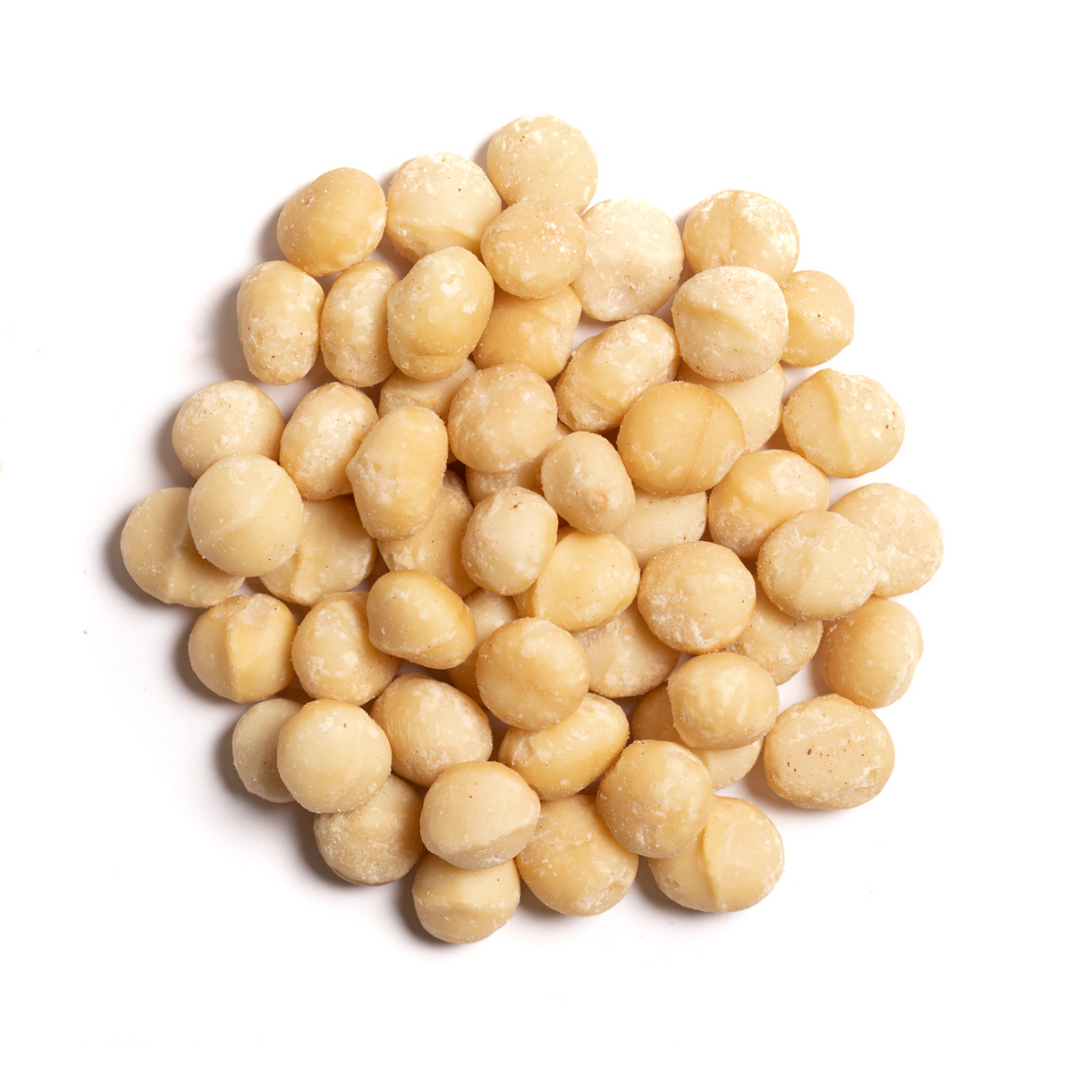 Raw Macadamia nuts Nutterie