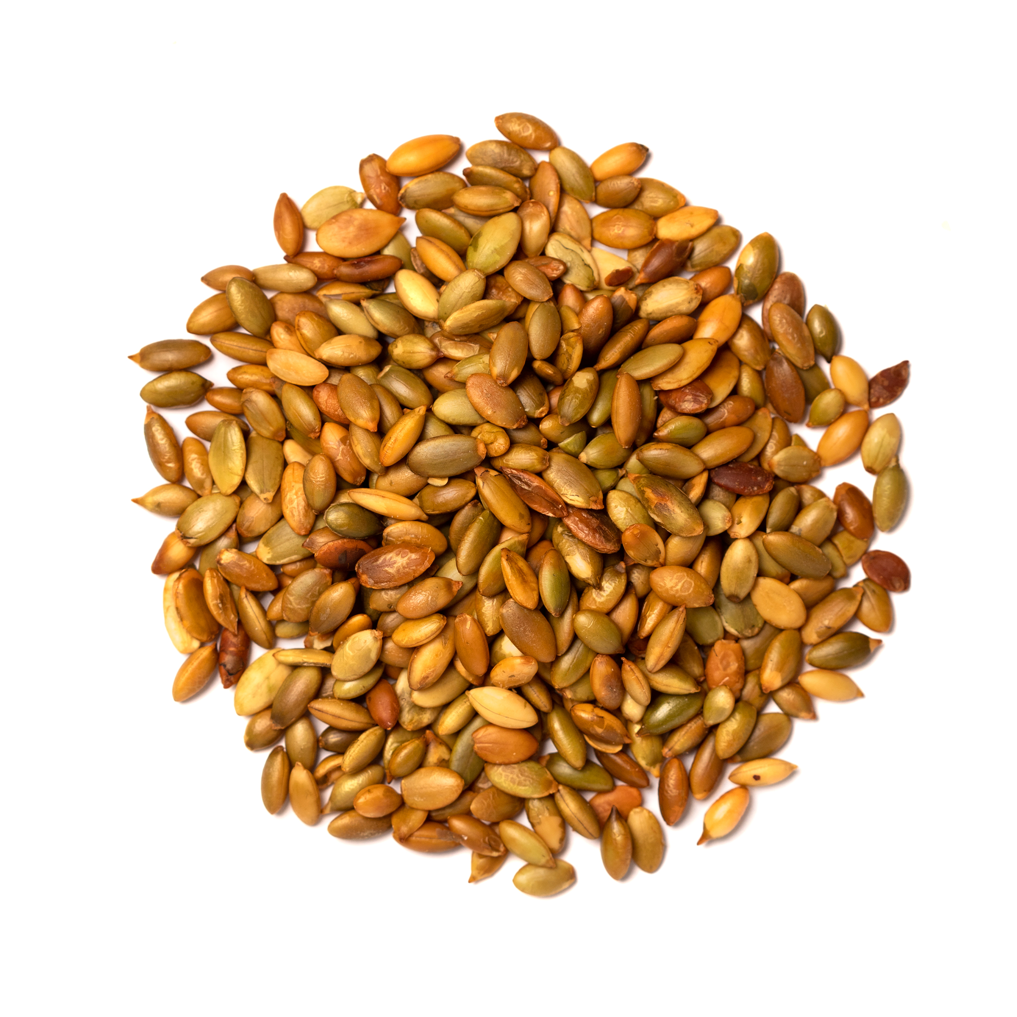 Roasted pumpkin seeds (unsalted)